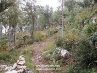 Camino de acceso a la ermita, junto a las ruinas de Montfalcó